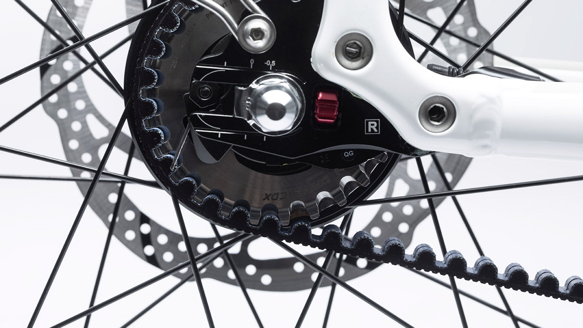 Closeup of the dropouts and Gates sprocket with the Gates carbon belt on a Bullitt cargo bike