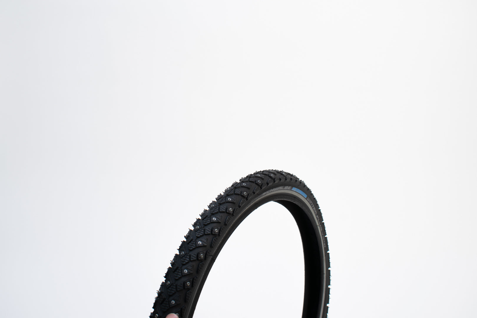 Schwalbe Marathon Winter tyre with studs on a white background
