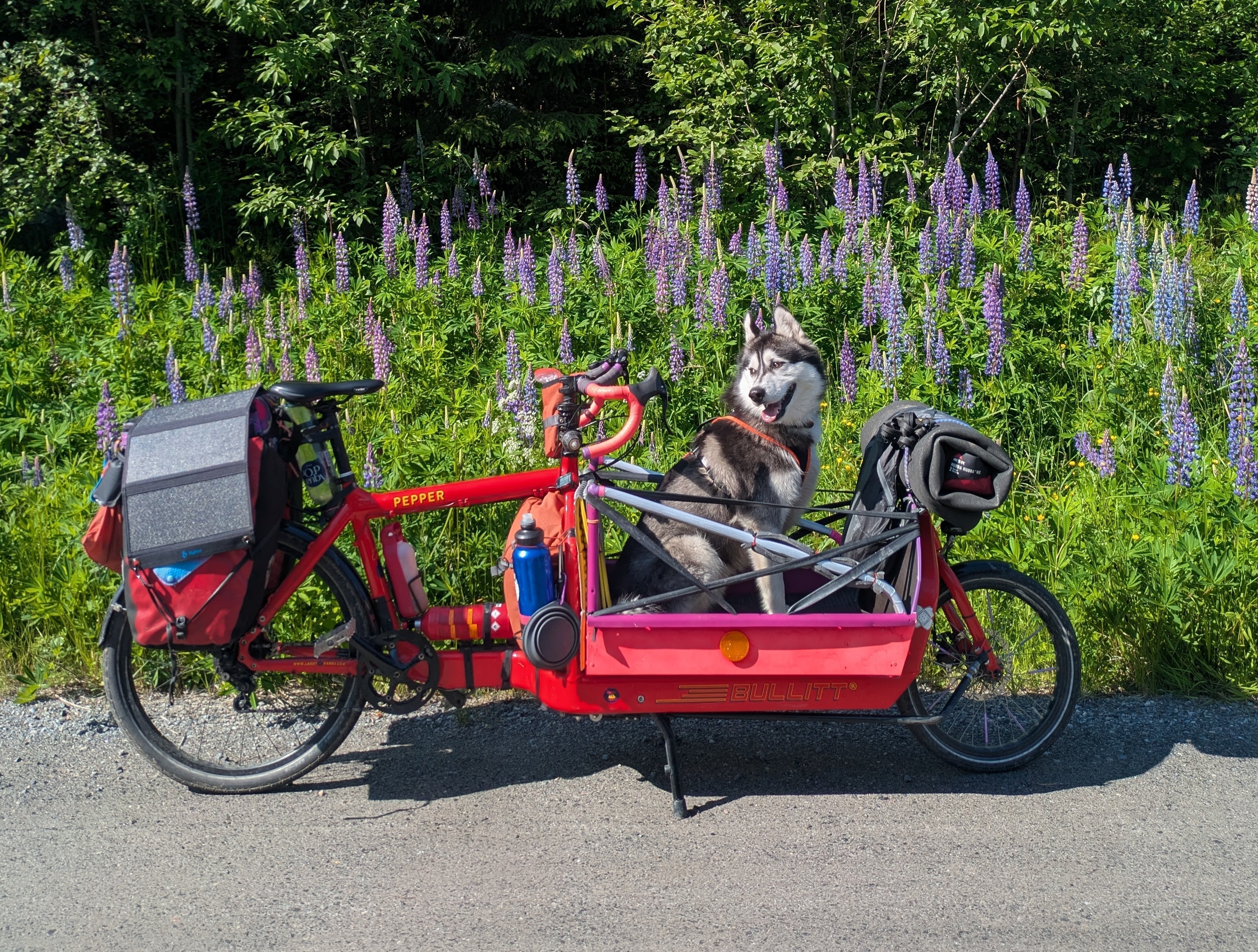 Fang Wild An – Julia’s Journey on a Bullitt