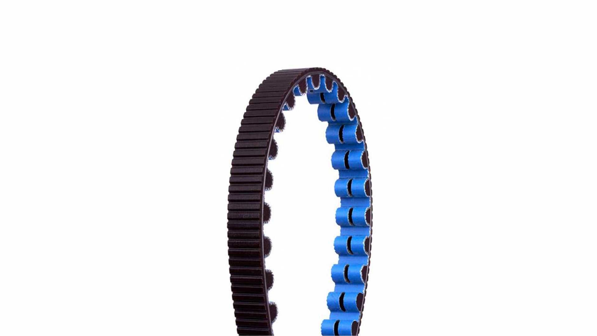 Closeup of the Gates carbon belt