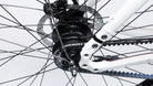 Closeup of a Shimano alfine hub on a Bullitt with the Gates carbon belt installed