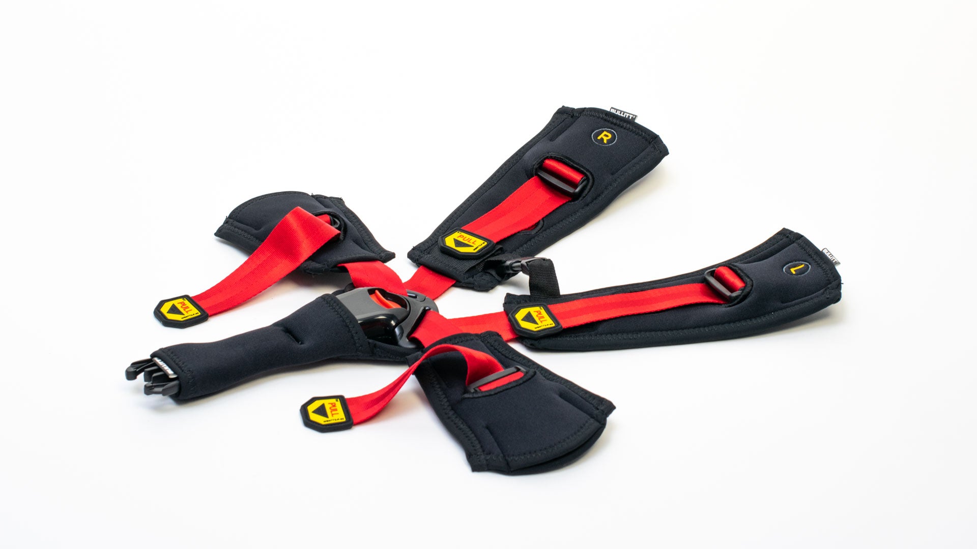 Seatbelt for twin seat