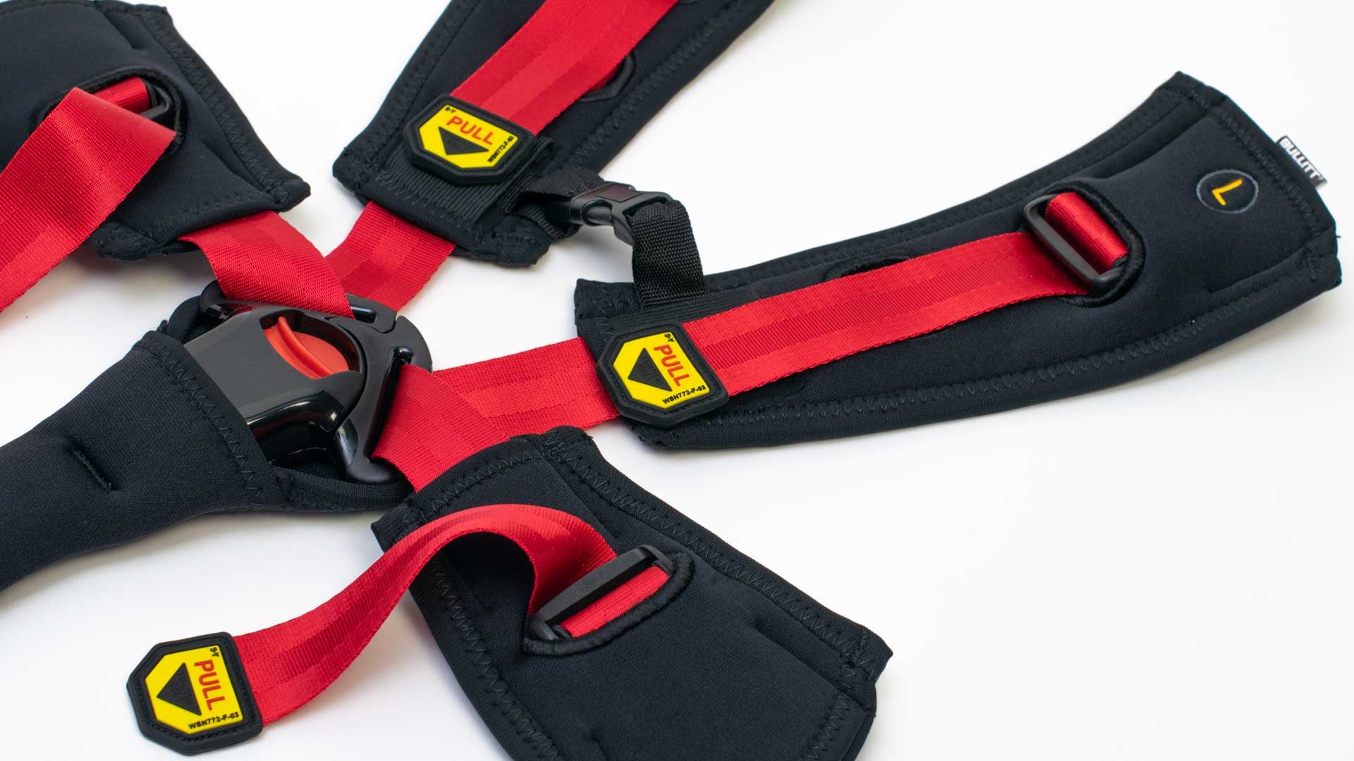 Seatbelt for twin seat